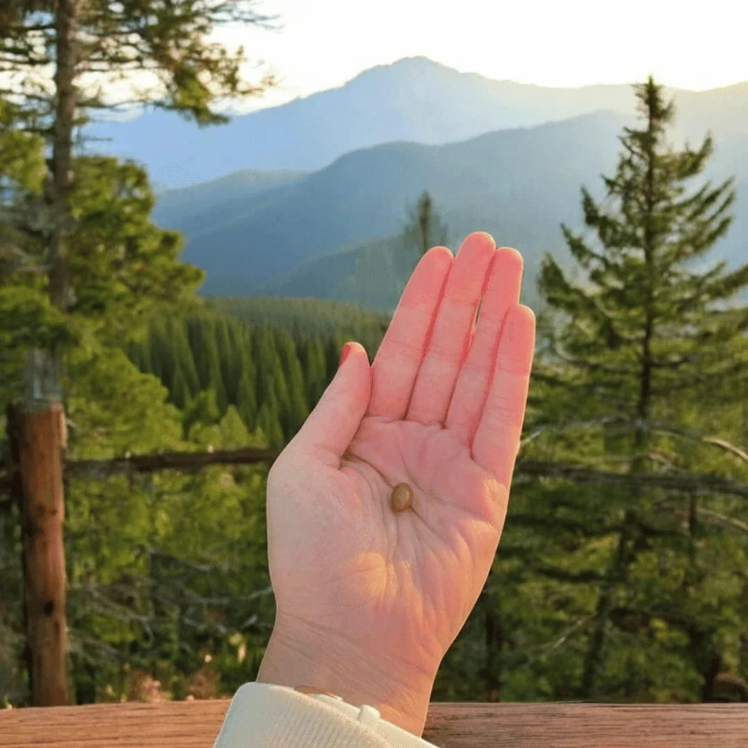 Administrare ușoară